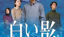 白影电视剧,揭秘神秘古墓的惊悚传奇